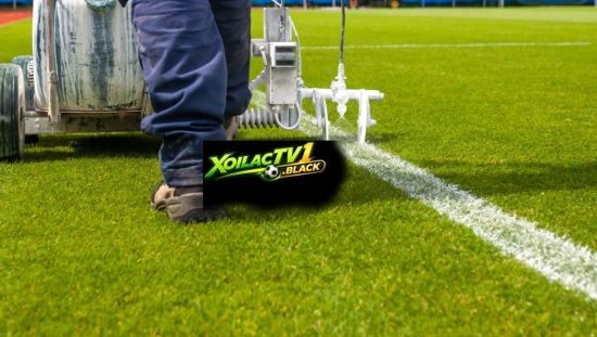 Đường Pitch có ý nghĩa quan trọng trong thi đấu bóng đá
