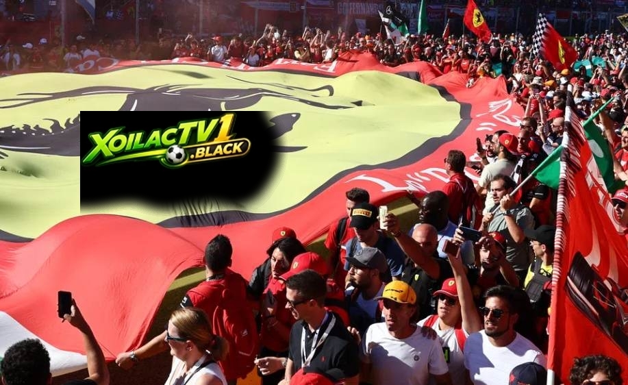 Tifosi chân chính là người hâm mộ bóng đá Ý
